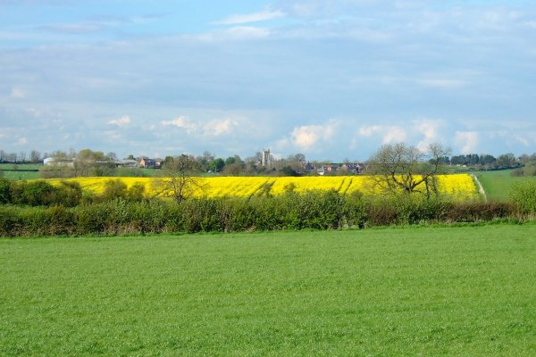 View of Burton Overy from the fields